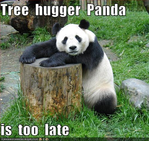 funny-pictures-tree-hugger-panda.jpg